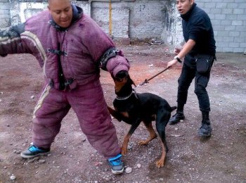 Perros guardianes - Begecan Adiestramiento y Servicio Privado en Seguridad Canina