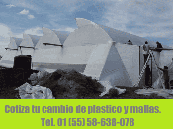 Construccion de invernaderos - Operadora Hidropónica