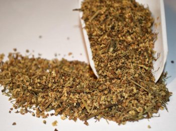 FLOR DE SAUCO