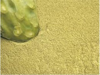 NOPAL EN POLVO