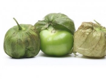 TOMATE VERDE EN POLVO