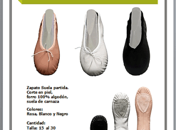 ZAPATILLA PROFESIONAL PARA BALLET