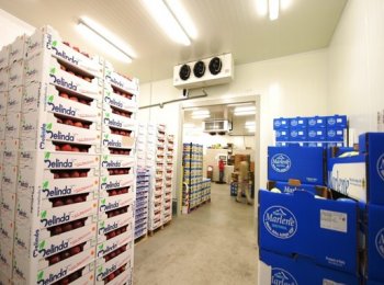 Cuartos frios, almacenamiento - Edificaciones Industriales Refrigeradas