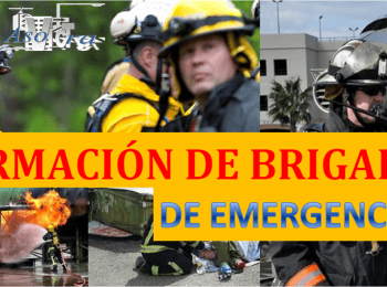 Brigadas de emergencia - Evaluación en Gestión Integral de Riesgos