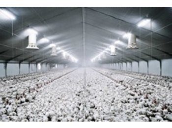 Aspas para ventiladores - Multi-Wing México