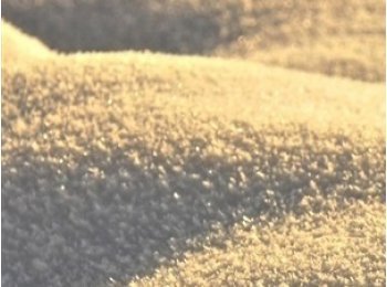 Arena silica - Organización 15