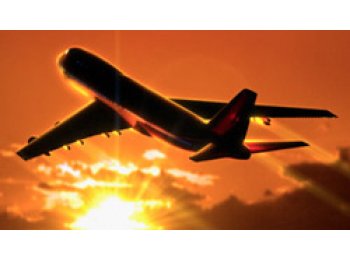 Asesoria empresarial en comercio exterior - Freight and Cargo Services de México / Freight & Cargo