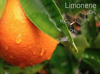 dipenteno-limoneno1