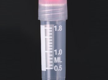 CRIOTUBOS DE ROSCA EXTERNA Y SELLO DE SILICON