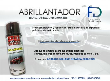 LIMPIADORES NATURALES PARA INTERIORES VINILICOS DE AUTOS