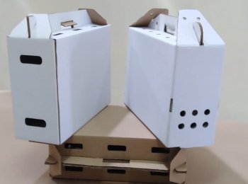 Cajas_de_Cartón_Sobre_Medida_Con_Impresión_O_Sin_Impresión 2