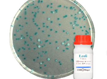 ecoli