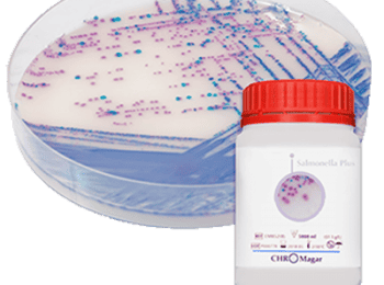 medio de cultivo para salmonella