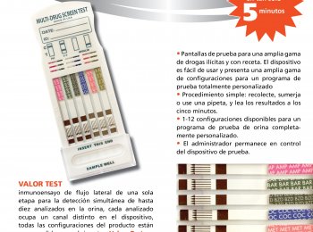 PRUEBAS RAPIDAS