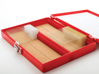 CAJAS PARA PORTAOBJETOS