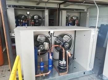 MANTENIMIENTO A CAMARAS DE CONGELACION