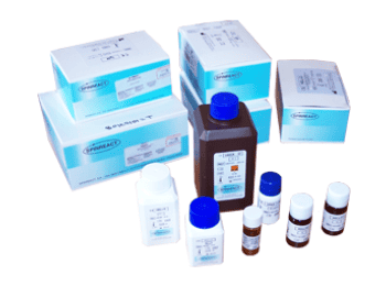 Acetona alcohol 1:1 - Azul Diagnostic