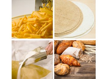 PROPIONATO DE CALCIO EN POLVO