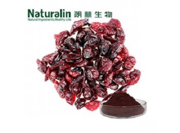 Extracto de arandano - Naturalin Bio-Resources Col.