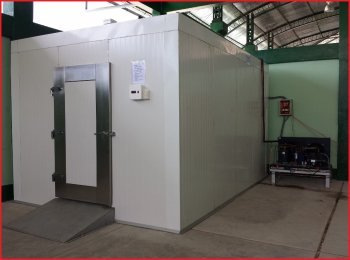 Puertas para camaras de congelacion 1