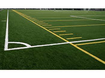 Pasto artificial - Terza