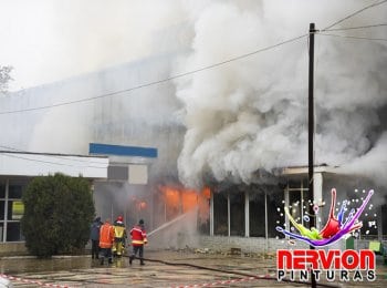 Características de pinturas ignifugas