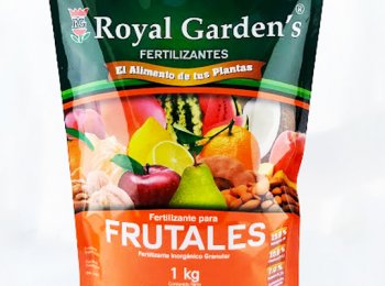 Empaques flexibles para alimentos - ENVAI Food Packaging