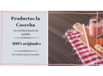 CONCENTRADOS FRUTALES