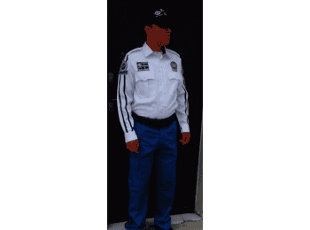 Seguridad intramuros