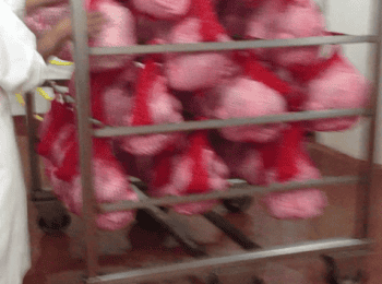 REDES PLASTICAS PARA ALIMENTOS