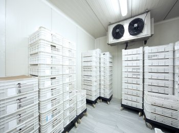 Almacenaje refrigerado - Operadora Mexicana de Productos Gourmets