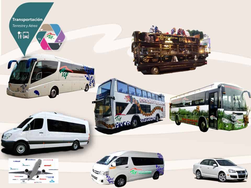 Renta de autobuses Toyota