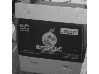 Carton caple - Liner & Box