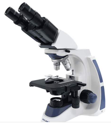 MICROSCOPIO BINOCULAR