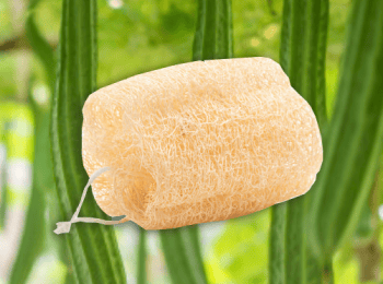 Exfoliantes naturales - EstropajinNatural