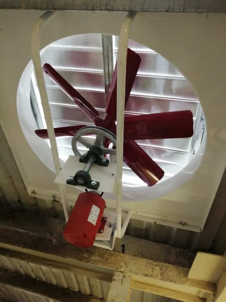 EXTRACTORES AXIALES CON TRANSMISION