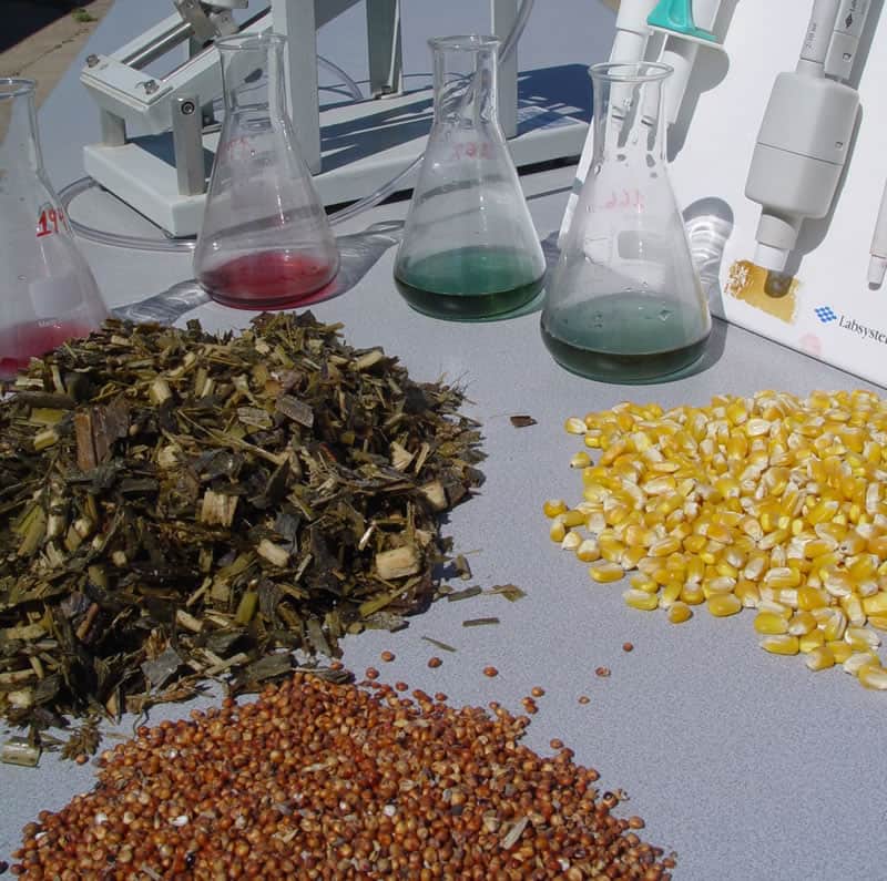 Análisis bromatologicos