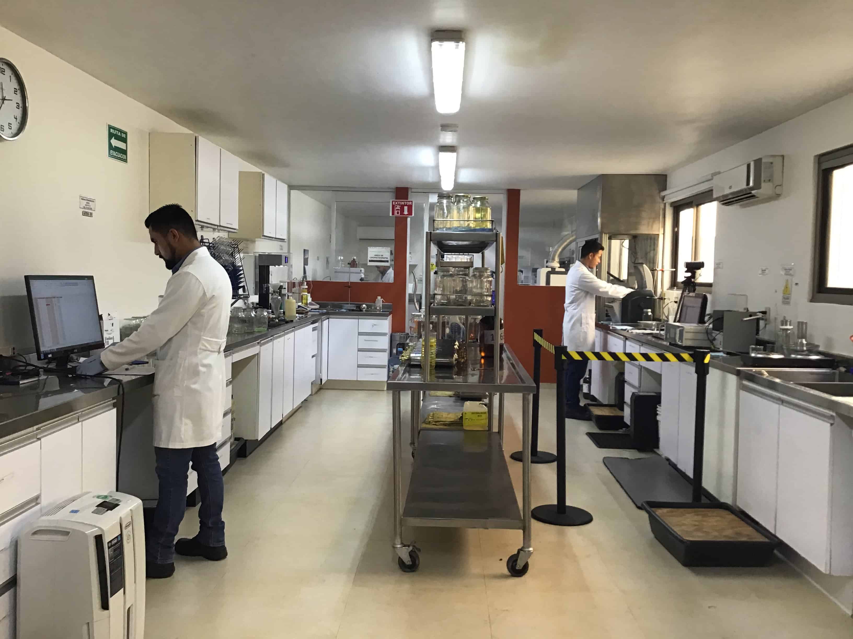 LABORATORIO DE ANALISIS