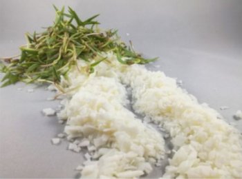 cera de soya 5