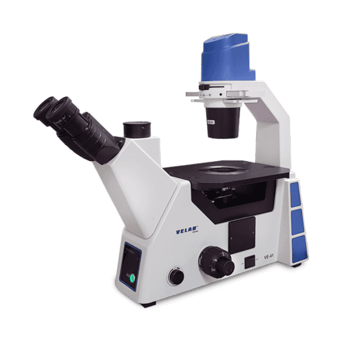 Microscopios de laboratorio Científica Vela Quin 2