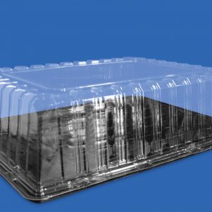 Envases desechables