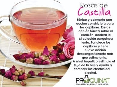 herbolaria mexicana 3