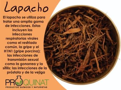 herbolaria mexicana 4