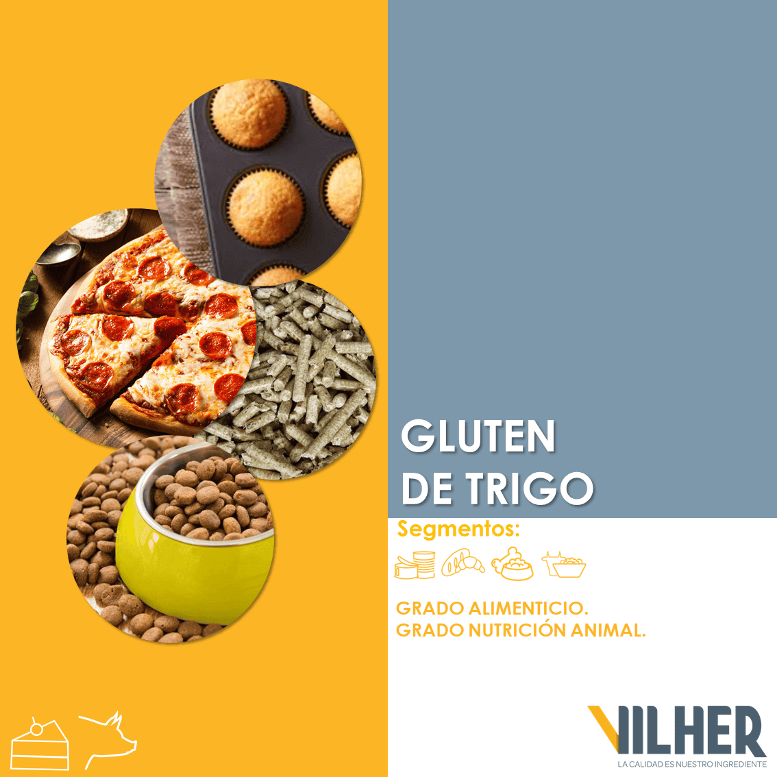 PROTEINAS VEGETALES USO PECUARIO