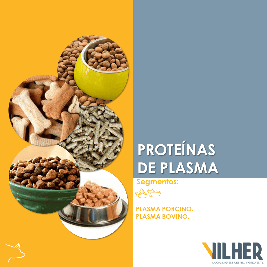PROTEINAS FUNCIONALES DE CERDO