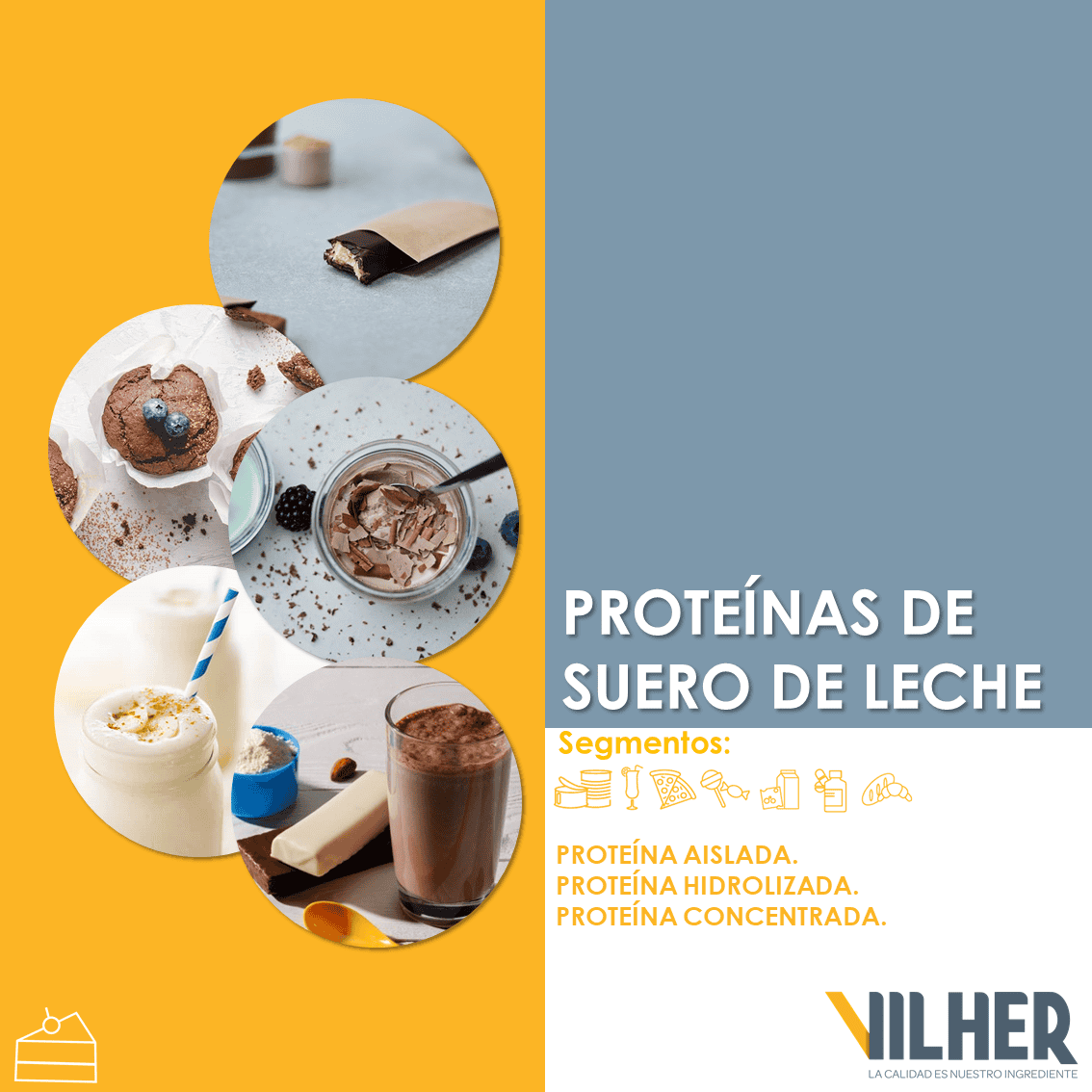 Proteina de suero de leche concentrada 80% - Empresas Vilher