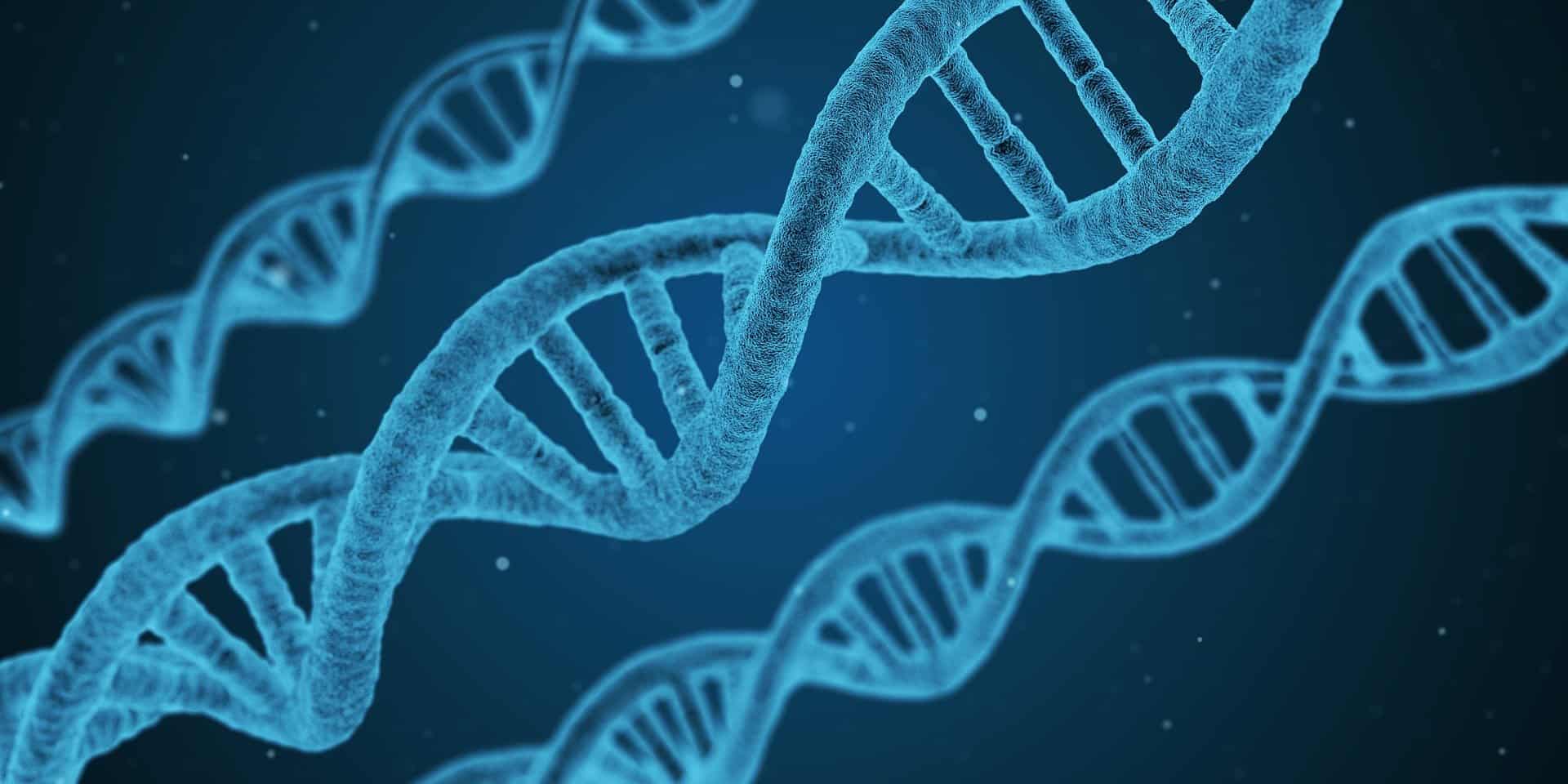 leserrano fitopatologia inocuidad mesofilos inocuidad cidam cromatografia biotecnología pcr primer
