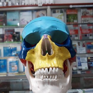 Libros de medicina de anatomia, cardiologia entre otros