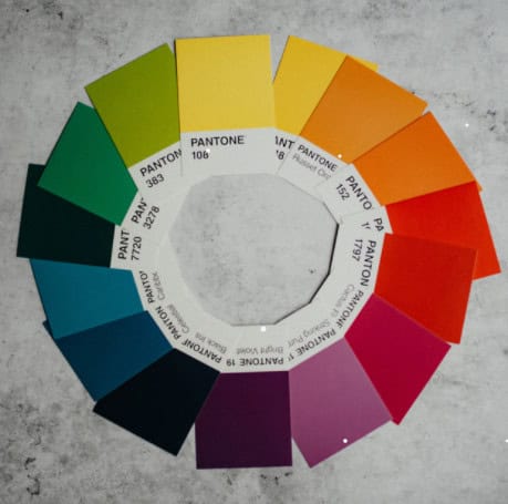 Creación de Página Web y su Paleta de Colores Ideal