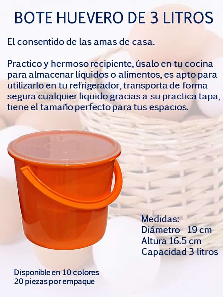 Bote de 3 litros con asa y tapa